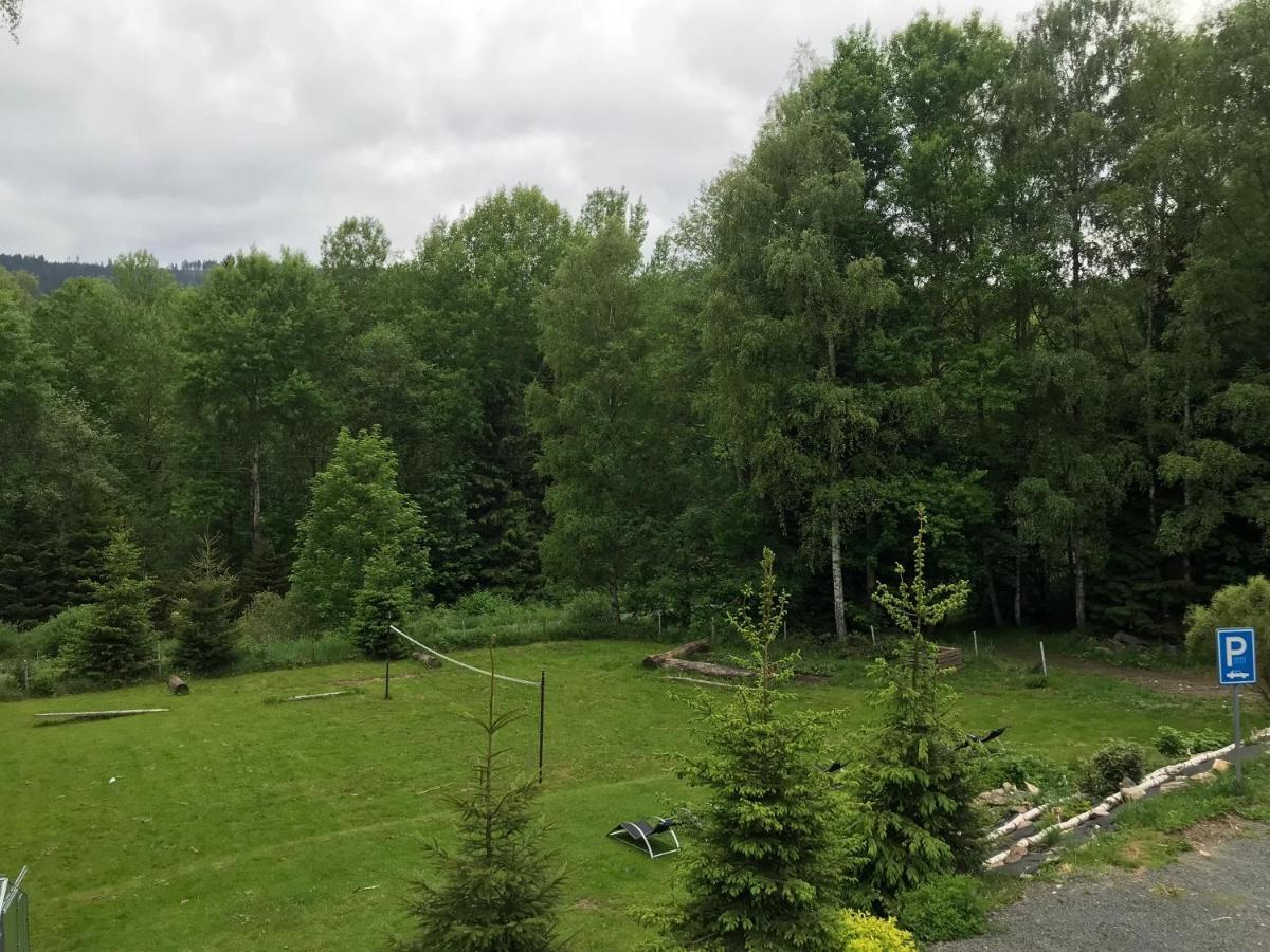 Pension Aura Spicak, Nektere Pokoje Se Saunou Железна-Руда Экстерьер фото