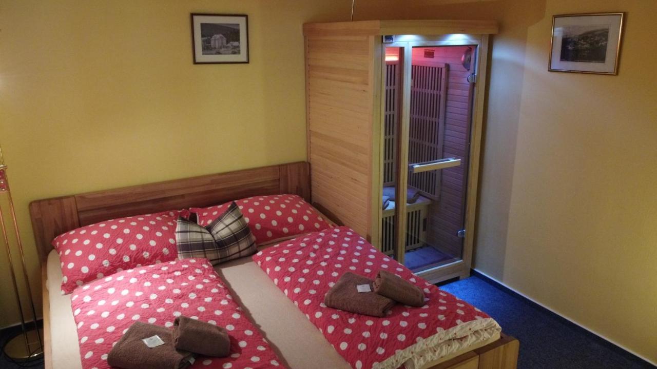 Pension Aura Spicak, Nektere Pokoje Se Saunou Железна-Руда Экстерьер фото